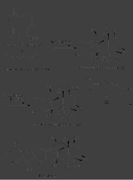 SYNTHETIC STRATEGIES IN CHEMISTRY Natural Sciences Chemistry